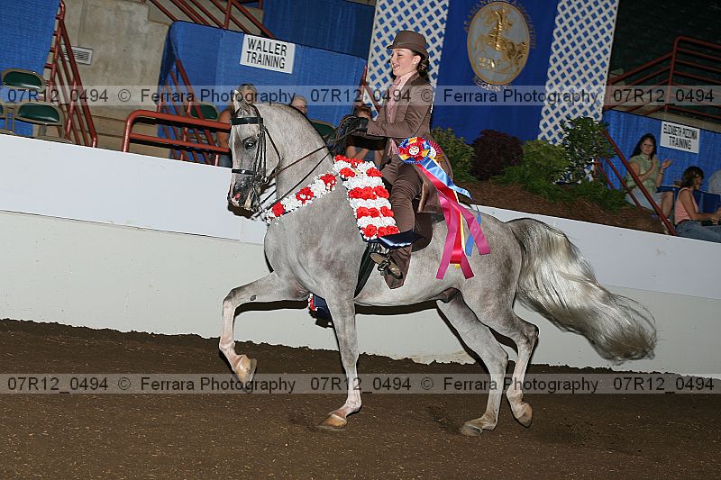 Proof 07r12_0494
