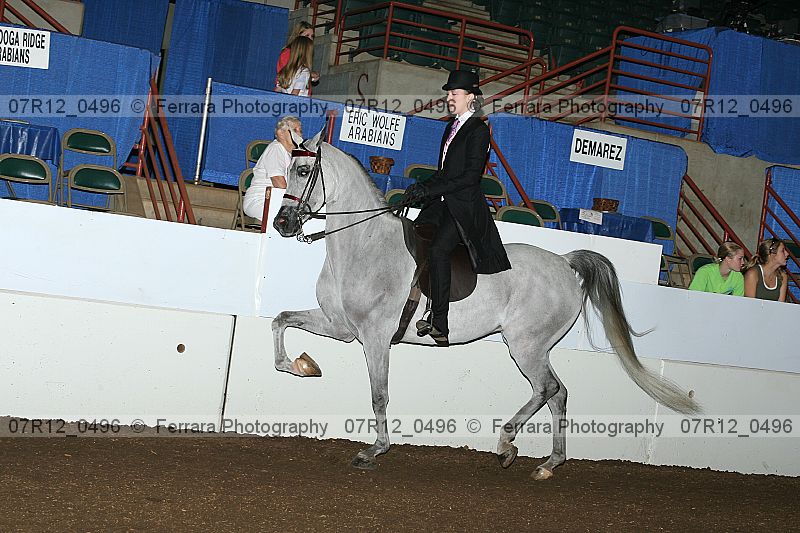 Proof 07r12_0496