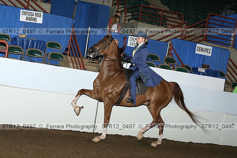 Proof 07r12_0497