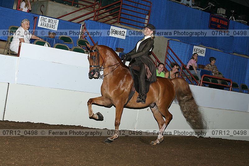 Proof 07r12_0498
