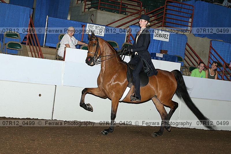 Proof 07r12_0499