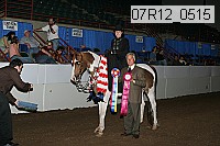 07r12_0515 proof