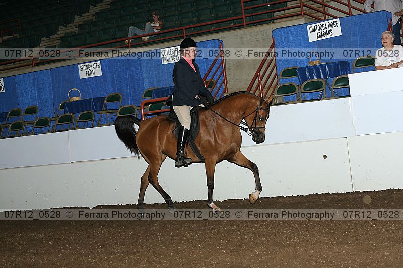 Proof 07r12_0528