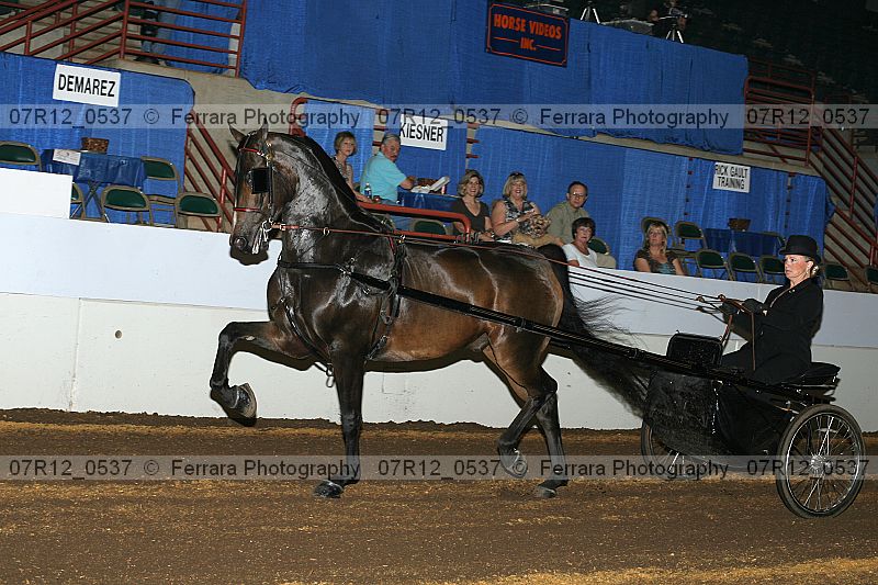 Proof 07r12_0537