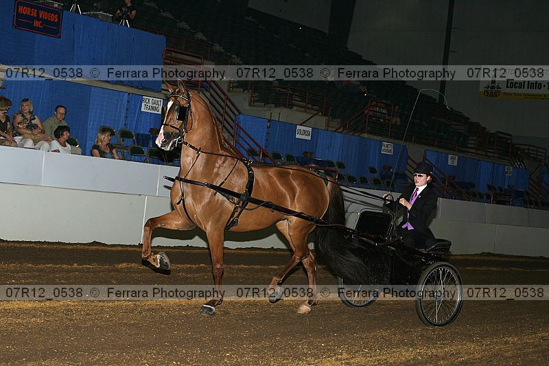 Proof 07r12_0538