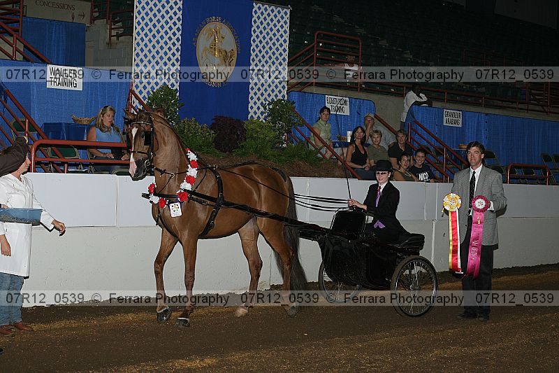 Proof 07r12_0539
