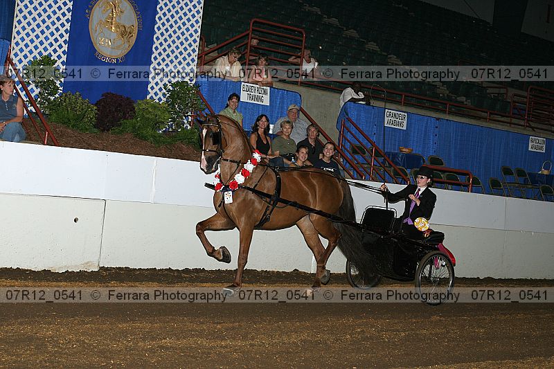 Proof 07r12_0541