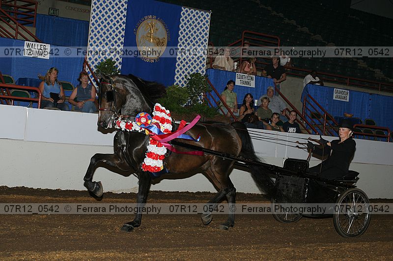 Proof 07r12_0542