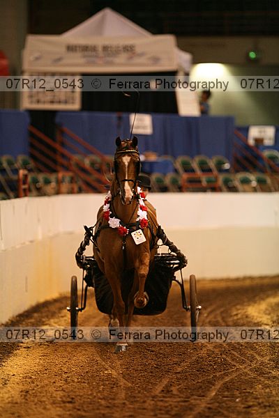Proof 07r12_0543