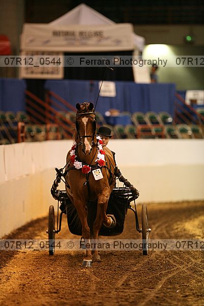 Proof 07r12_0544