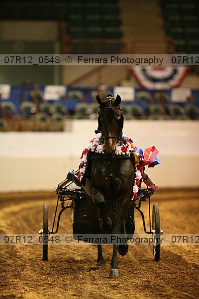 Proof 07r12_0548