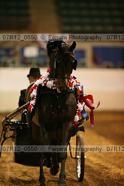 Proof 07r12_0550