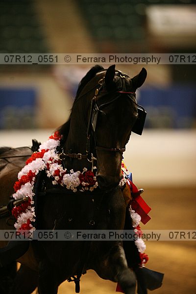 Proof 07r12_0551