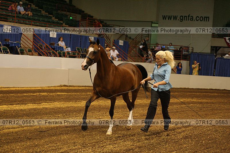Proof 07r12_0553