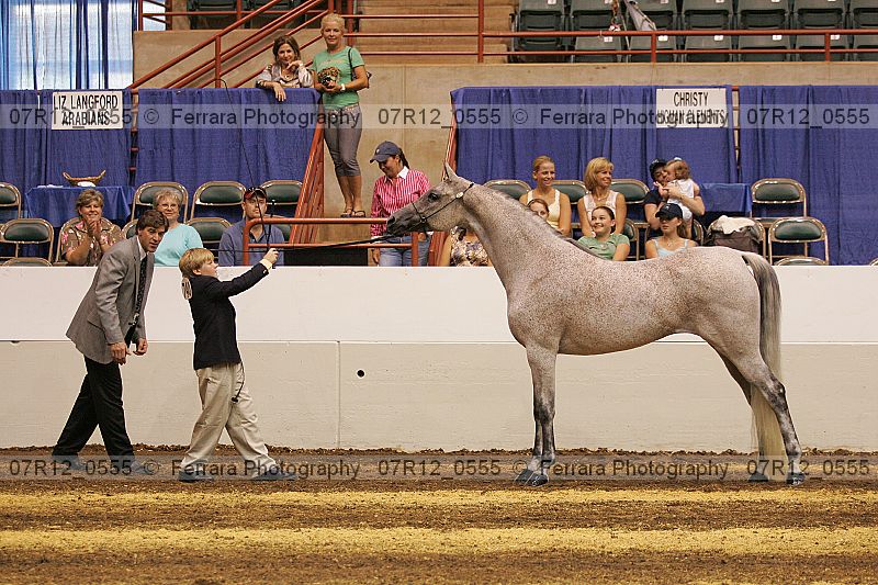 Proof 07r12_0555