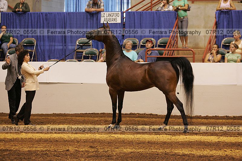 Proof 07r12_0556