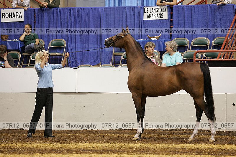 Proof 07r12_0557
