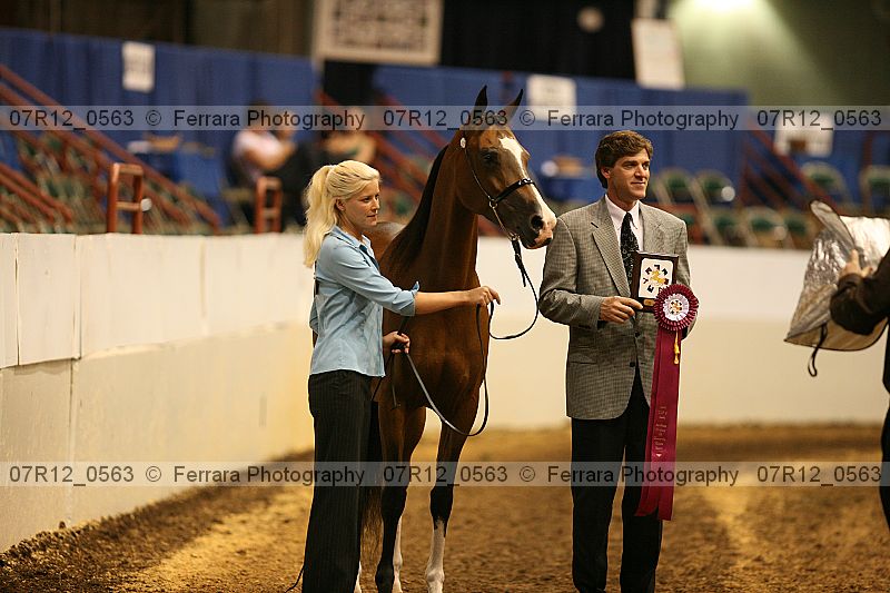 Proof 07r12_0563