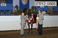 07r12_0565 proof