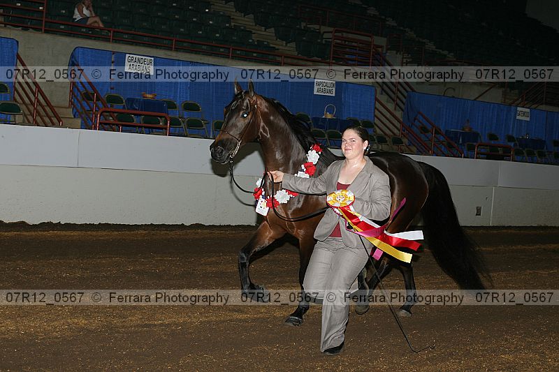 Proof 07r12_0567