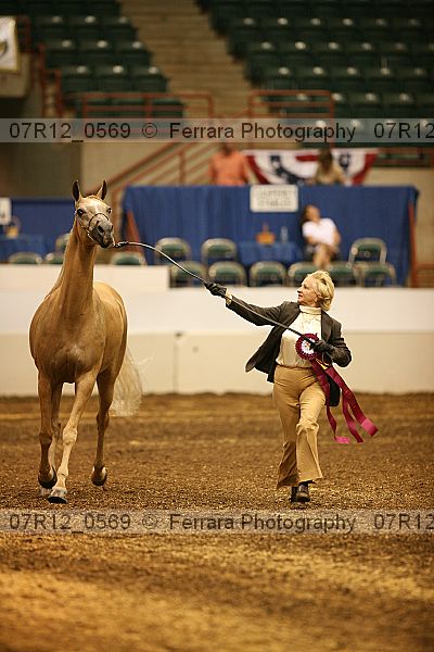 Proof 07r12_0569