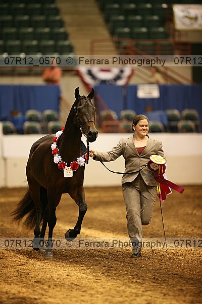 Proof 07r12_0570