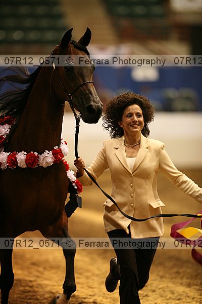 Proof 07r12_0571