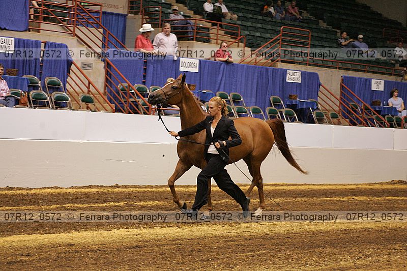 Proof 07r12_0572