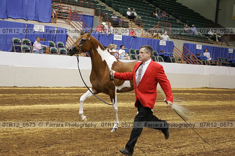 Proof 07r12_0573