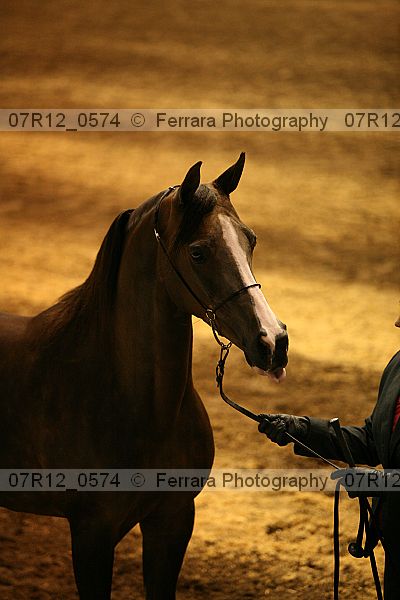 Proof 07r12_0574