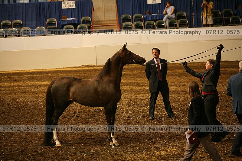 Proof 07r12_0575