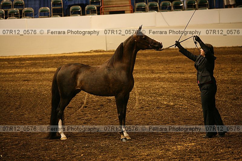 Proof 07r12_0576