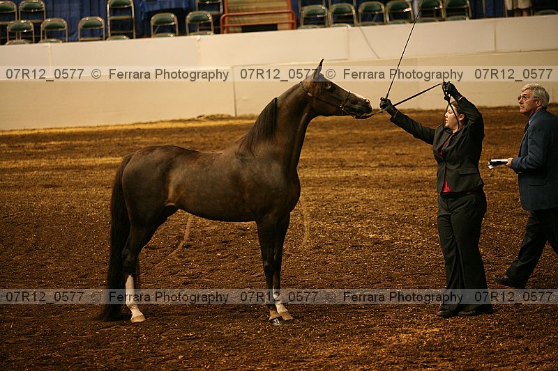 Proof 07r12_0577