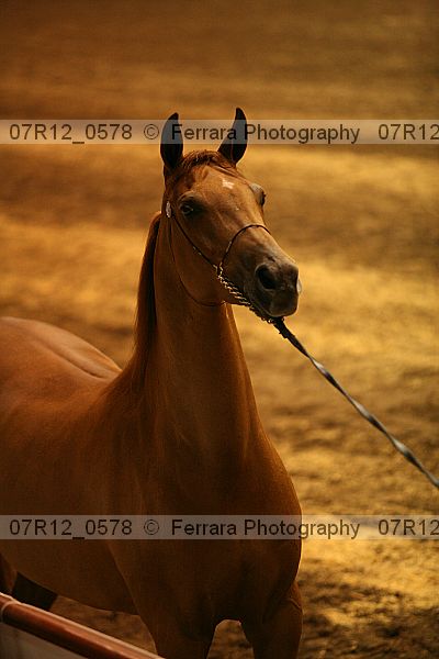 Proof 07r12_0578