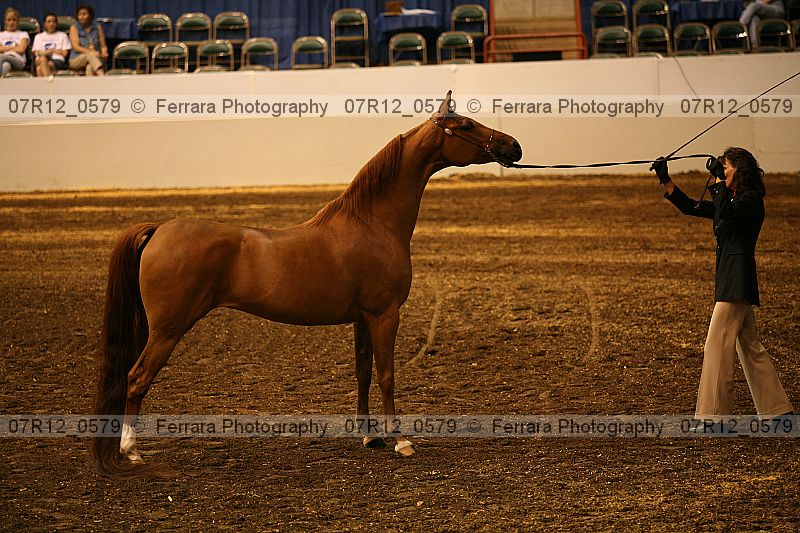 Proof 07r12_0579