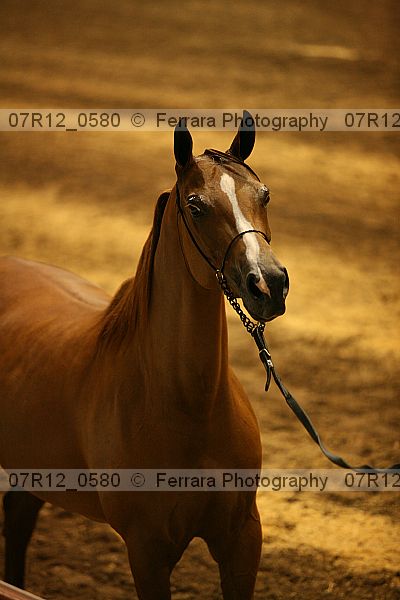 Proof 07r12_0580
