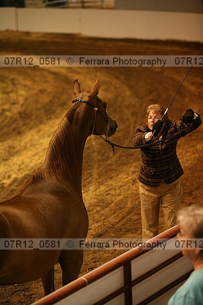 Proof 07r12_0581