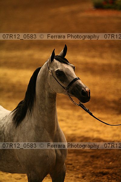 Proof 07r12_0583