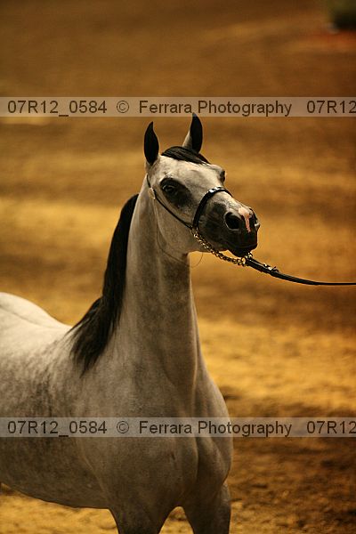 Proof 07r12_0584