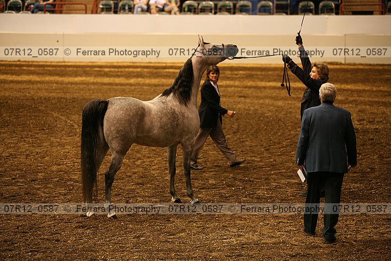 Proof 07r12_0587