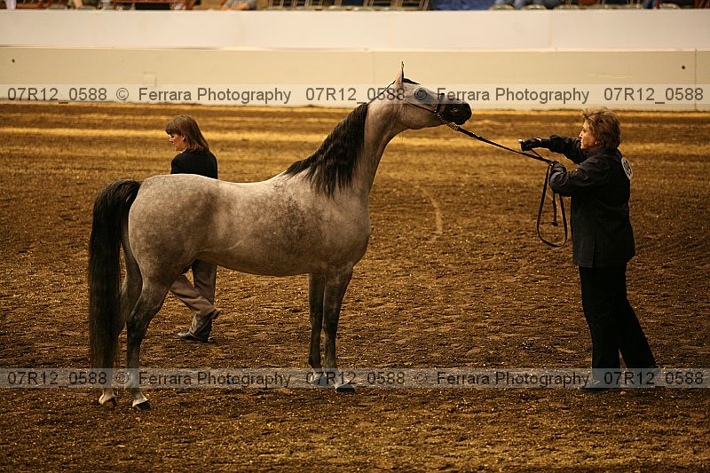 Proof 07r12_0588
