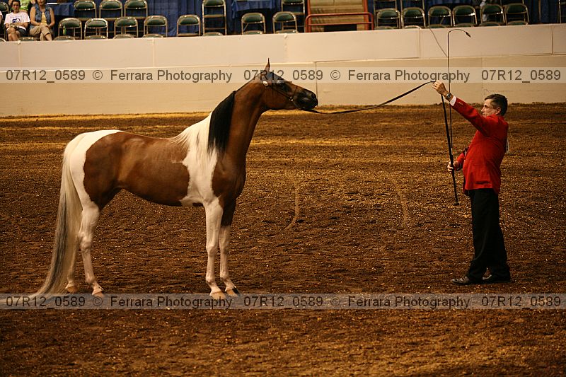Proof 07r12_0589