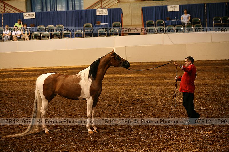Proof 07r12_0590