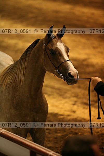Proof 07r12_0591