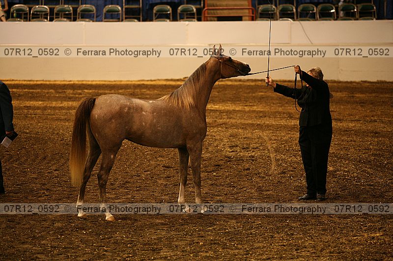 Proof 07r12_0592