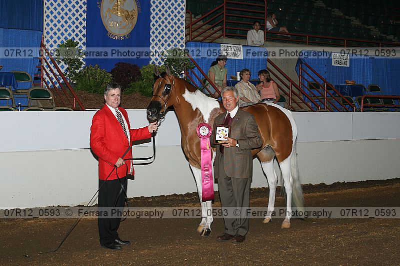 Proof 07r12_0593