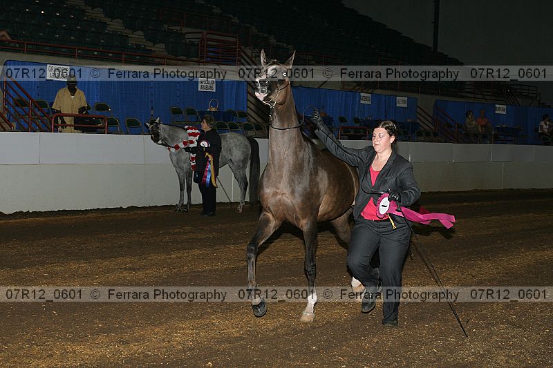 Proof 07r12_0601