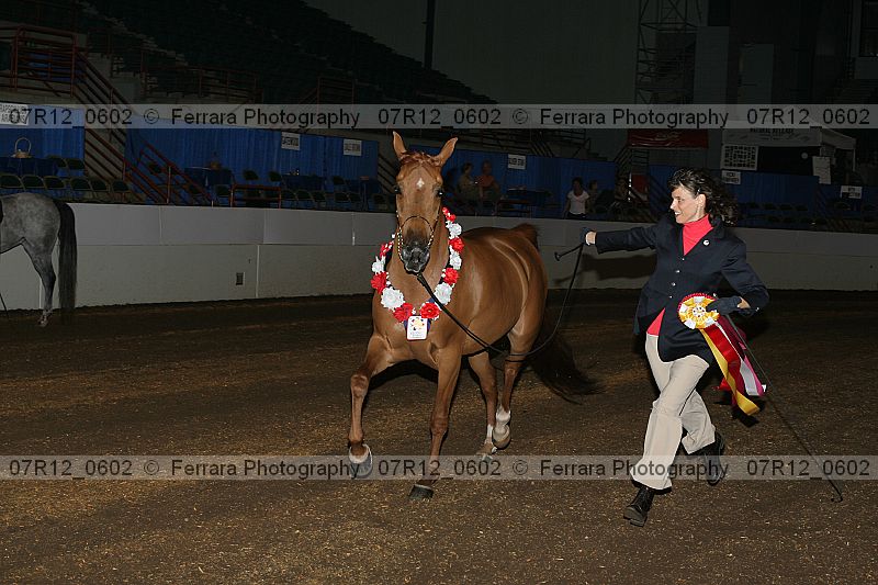 Proof 07r12_0602