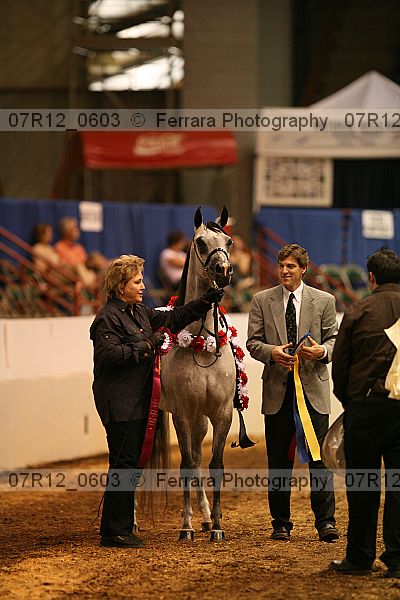 Proof 07r12_0603