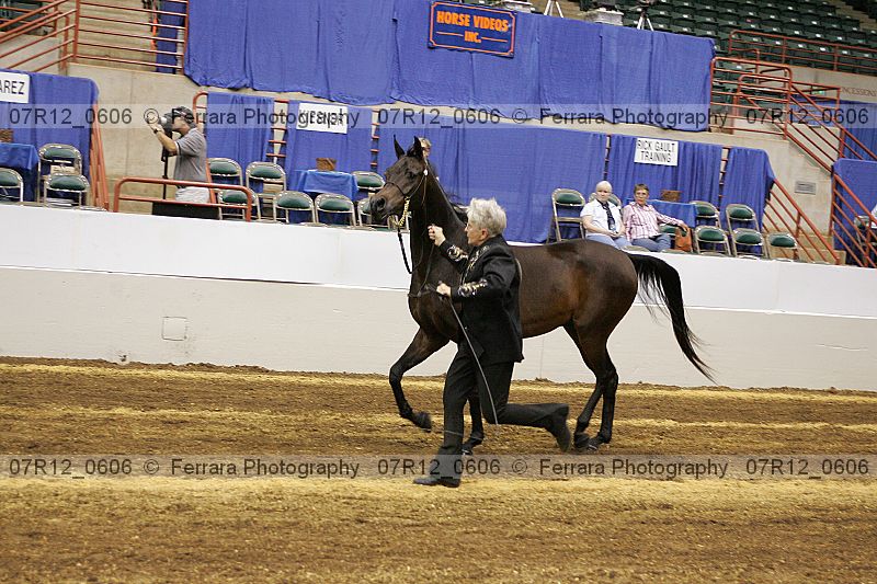 Proof 07r12_0606